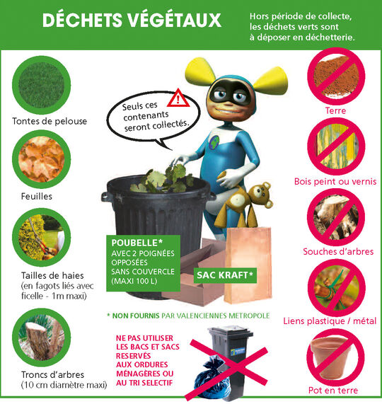 Déchets végétaux : une ressource dans votre poubelle