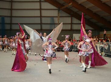 Festival de majorettes New Dance - Dimanche 15 Juin 2014