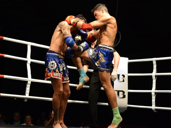 Championnat de France de Boxe Thaïlandaise - Samedi 23 Mai 2015