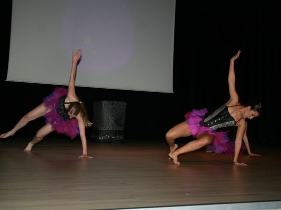 Spectacle de danse - Samedi 20 Février 2016