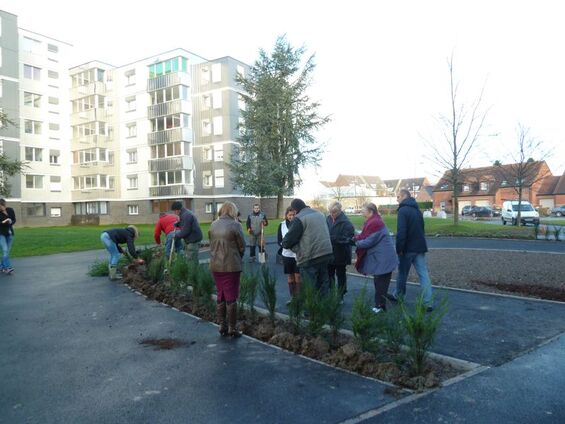 Plantation des vegetaux aux Chardonnerets - Mercredi 25 Novembre 2015