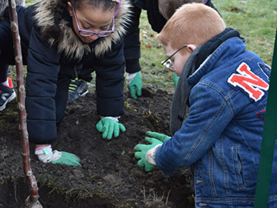 Opération plantons le décor dans les écoles Langevin et Ferry le 26 Février 2019