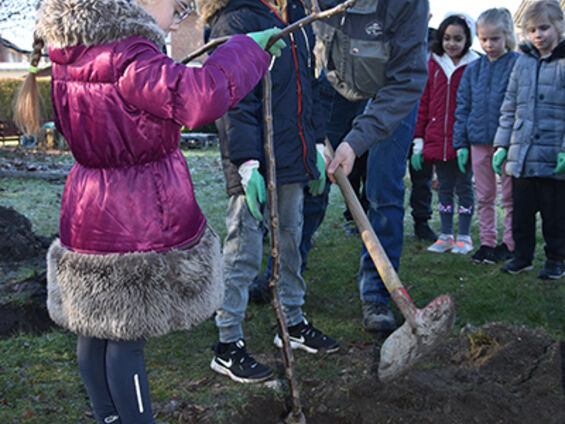 Opération plantons le décor dans les écoles Langevin et Ferry le 26 Février 2019