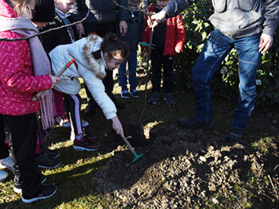 Opération plantons le décor dans les écoles Langevin et Ferry le 26 Février 2019