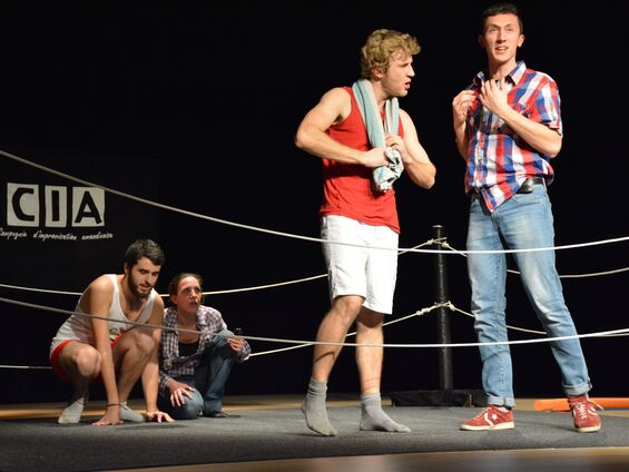 Spectacle du Club d'Improvisation de l'Amandinois - Samedi 9 Janvier 2016