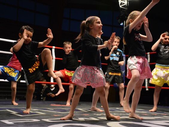 Championnat de France de Boxe Thaïlandaise - Samedi 23 Mai 2015