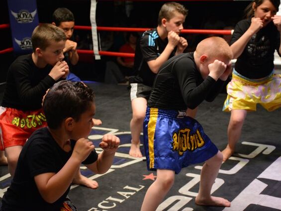 Championnat de France de Boxe Thaïlandaise - Samedi 23 Mai 2015