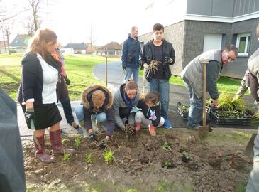 Plantation des vegetaux aux Chardonnerets - Mercredi 25 Novembre 2015