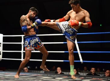 Championnat de France de Boxe Thaïlandaise - Samedi 23 Mai 2015